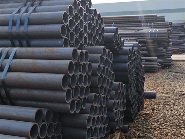 IMG_20230401_161048.jpg IMG_20230401_161048.jpg