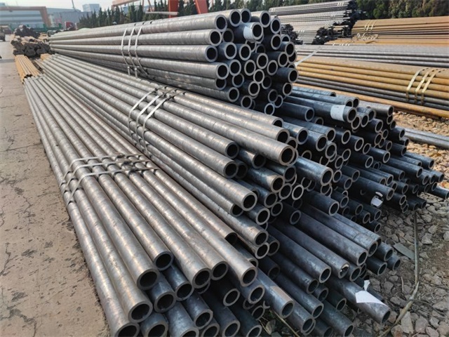 IMG_20230401_154728.jpg IMG_20230401_154728.jpg