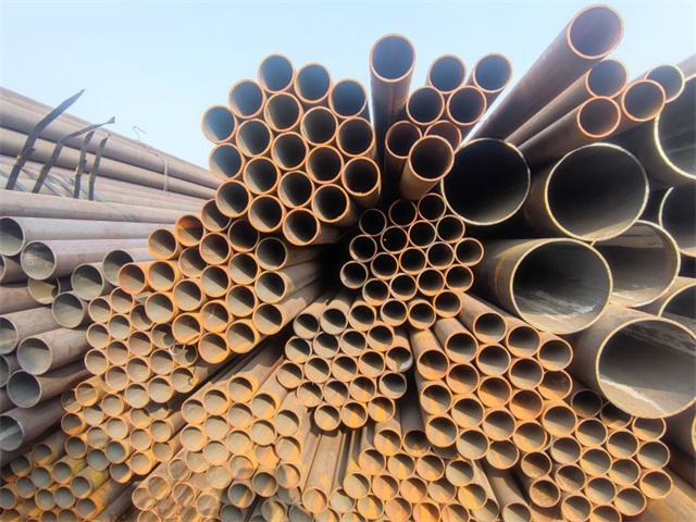 IMG_20230401_153158.jpg IMG_20230401_153158.jpg